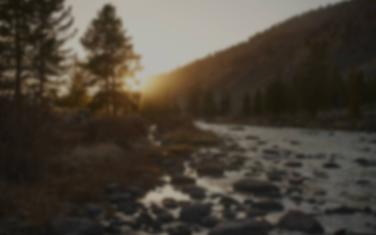 Mood Banner Picture