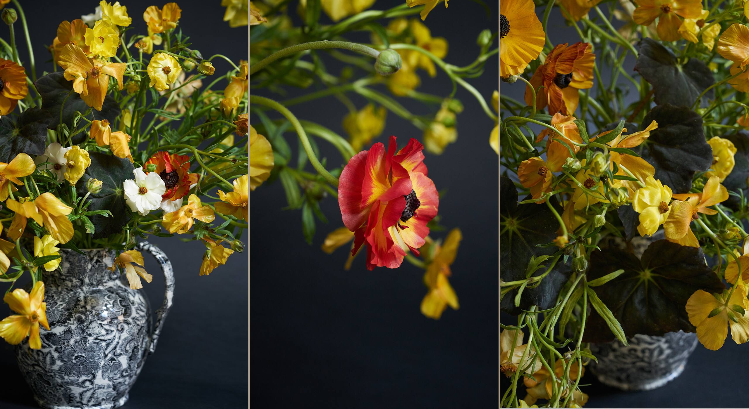 &laquo; Ce sont des bulbes et des fleurs que l&rsquo;on ne voit pas vraiment dans les jardins, mais au d&eacute;but de la saison, ils vous font anticiper l&rsquo;arriv&eacute;e du printemps. Se retenir et attendre avec impatience une plante qui n&rsquo;est pas de saison, c&rsquo;est un vrai plaisir. Nos compositions doivent refl&eacute;ter notre paysage. Les proportions de ses coupes et carafes sont simples et leurs dimensions s&rsquo;accordent parfaitement &agrave; un int&eacute;rieur. Vous pouvez r&eacute;aliser cet arrangement &agrave; une &eacute;chelle un peu plus grande si vous le souhaitez, mais il fonctionnera tr&egrave;s bien sur un &icirc;lot de cuisine ou sur un meuble de rangement. &raquo;